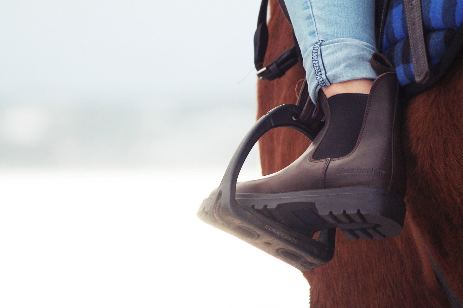 reiten-1-2000×1333-2-20240501-143650