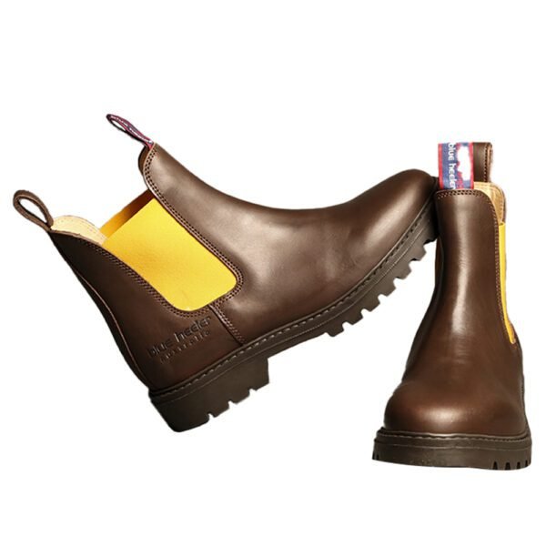 Jackaroo Brown Yellow Women
