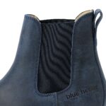 PASH blue