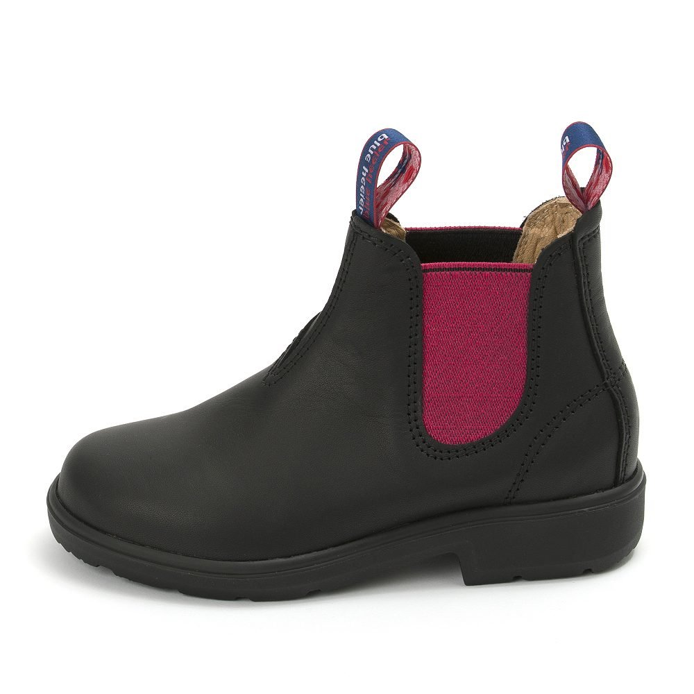 Tasman Devil Black Berry